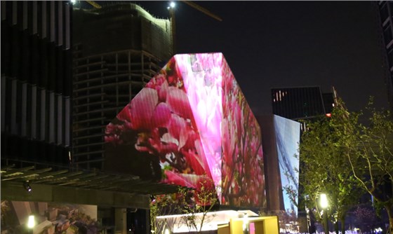 綻放新時(shí)代