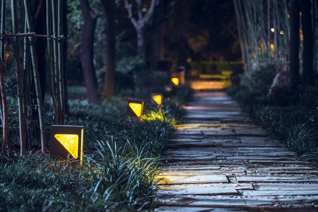 樹(shù)木亮化工程-4